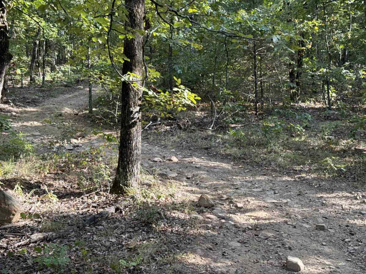 Iwa Ridge photo 4