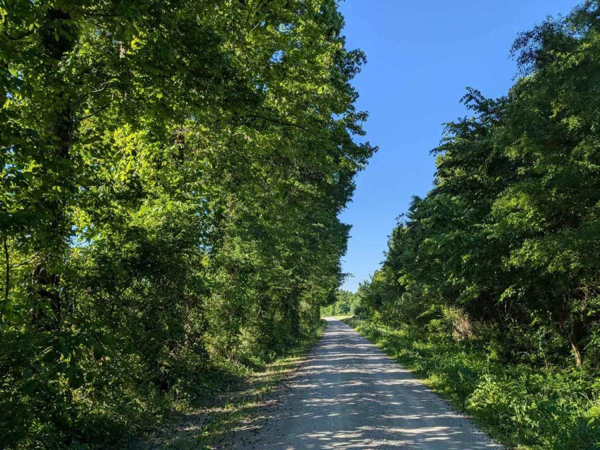 Counts Road photo 5