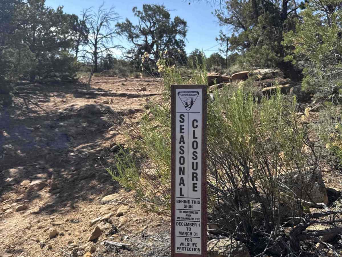 BLM 777 photo 4