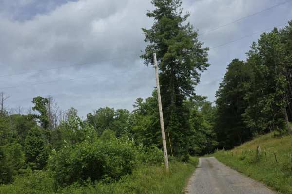 Pilgrim Lane