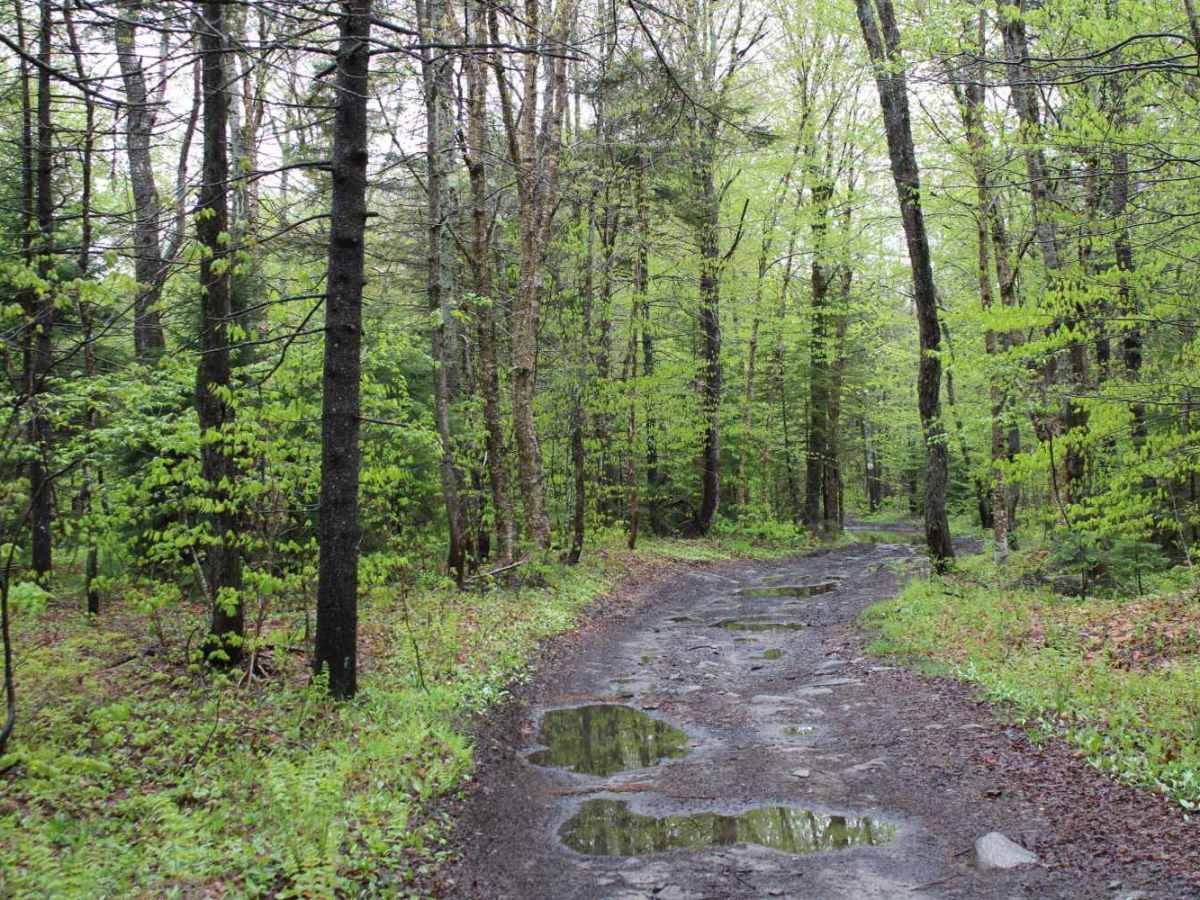 Seelman PFAR trail photo