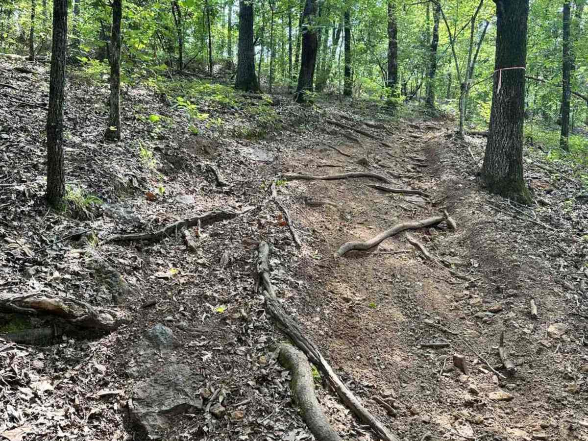 Long Haul trail photo