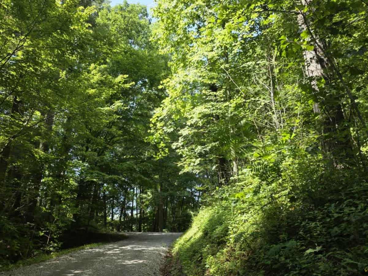 Cabbage Country Road trail photo