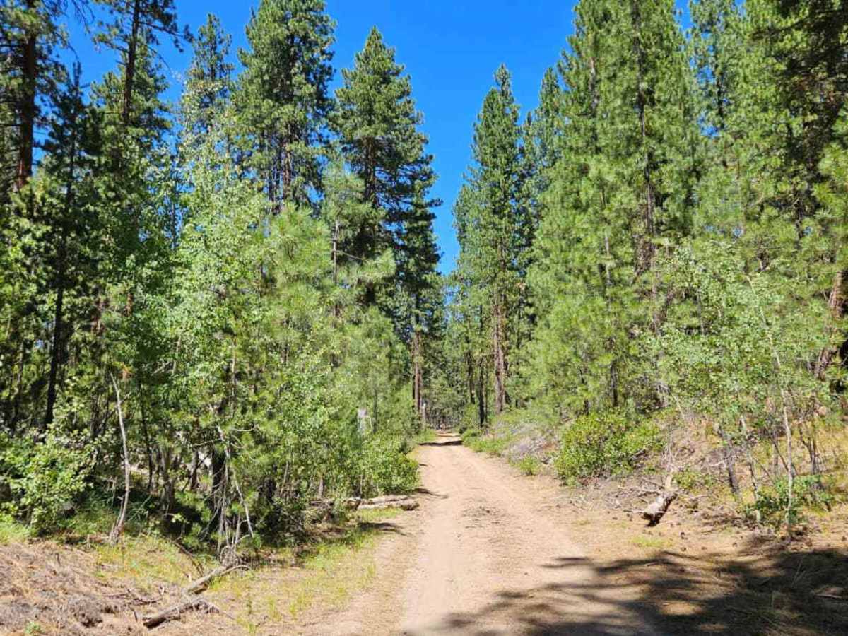 FS 6210600 photo 6
