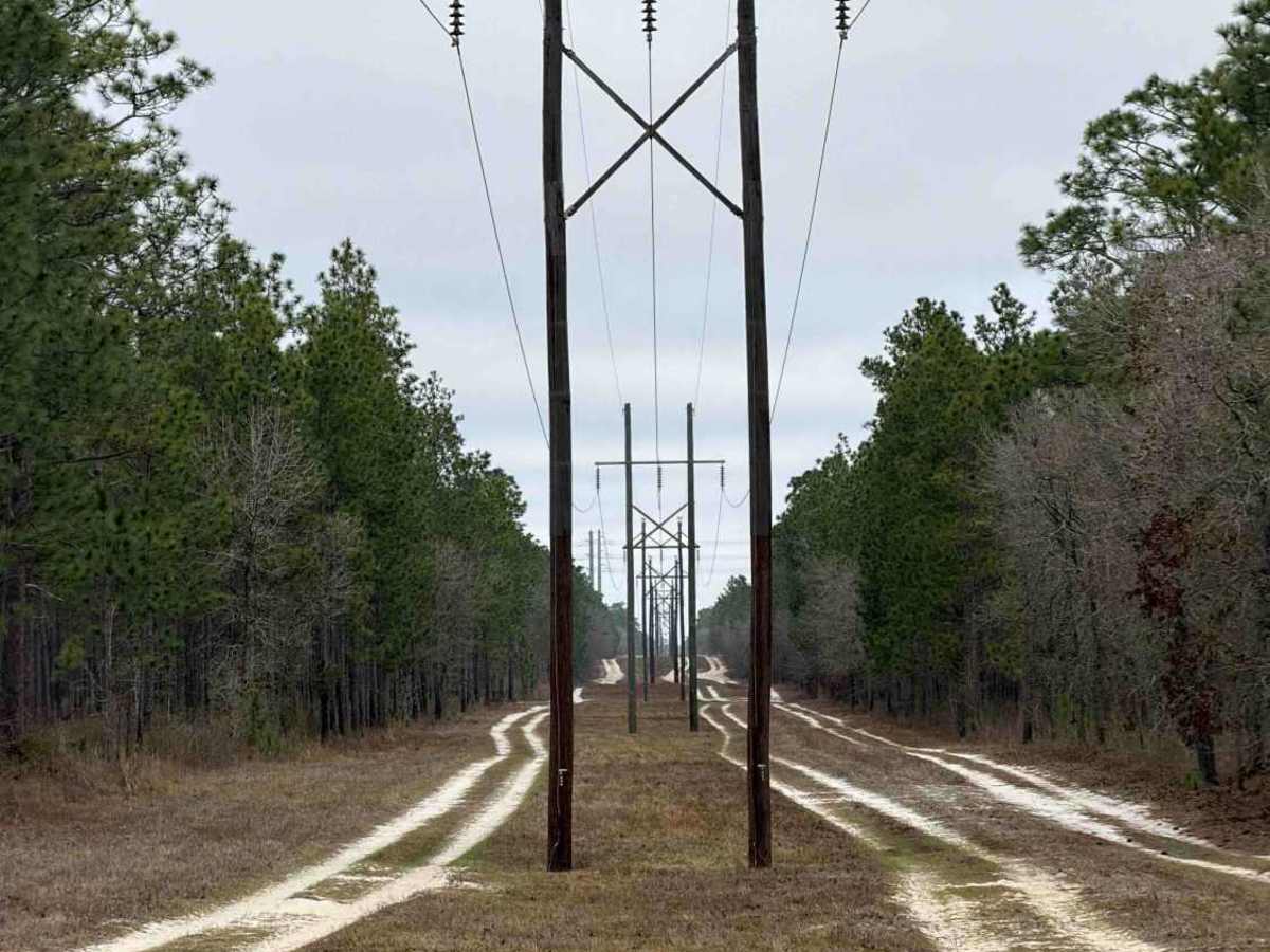 Powerline East - FS 300-C trail photo