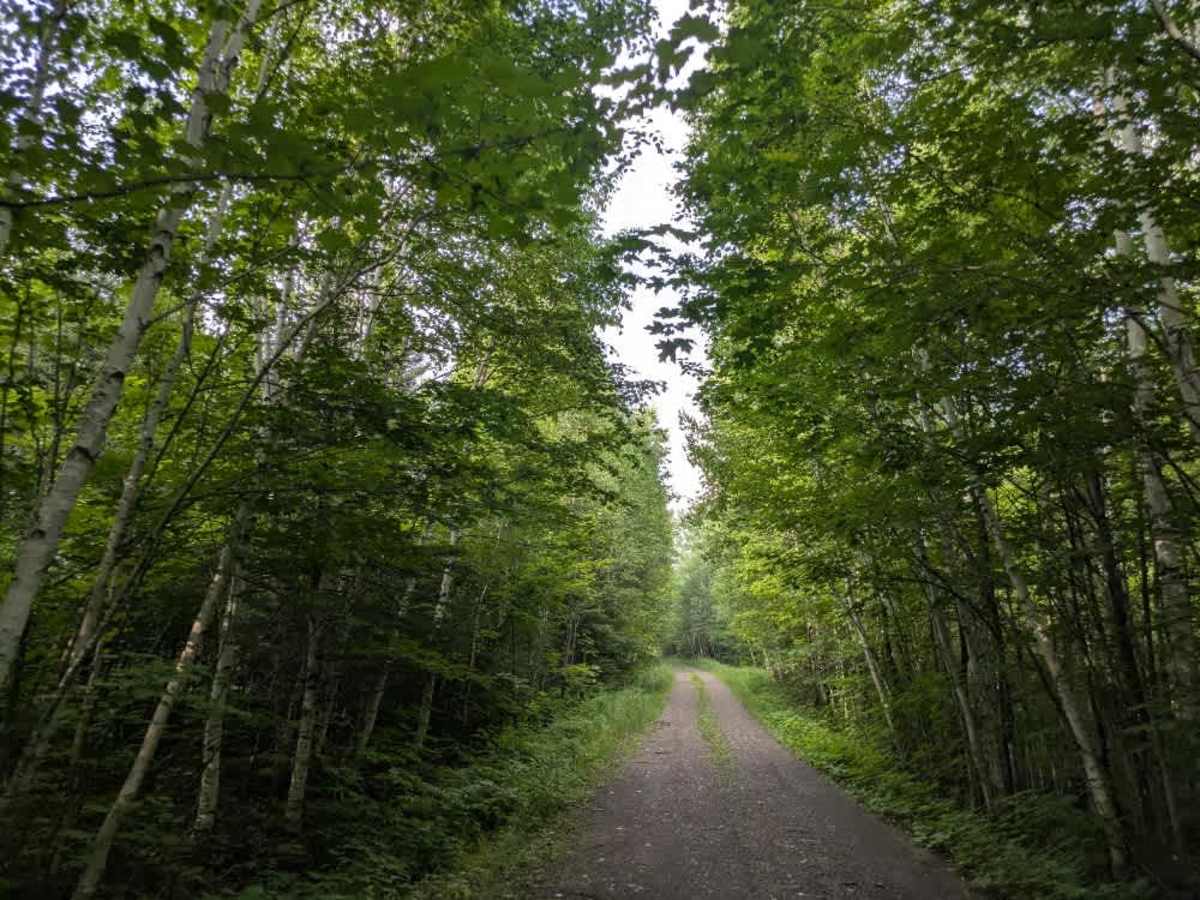 Caribou Trail photo 4
