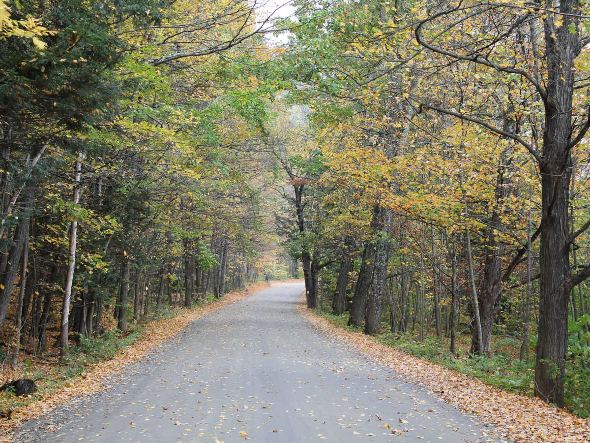 Big Hollow Road photo 5