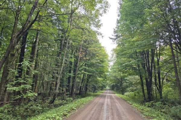 Smith Road