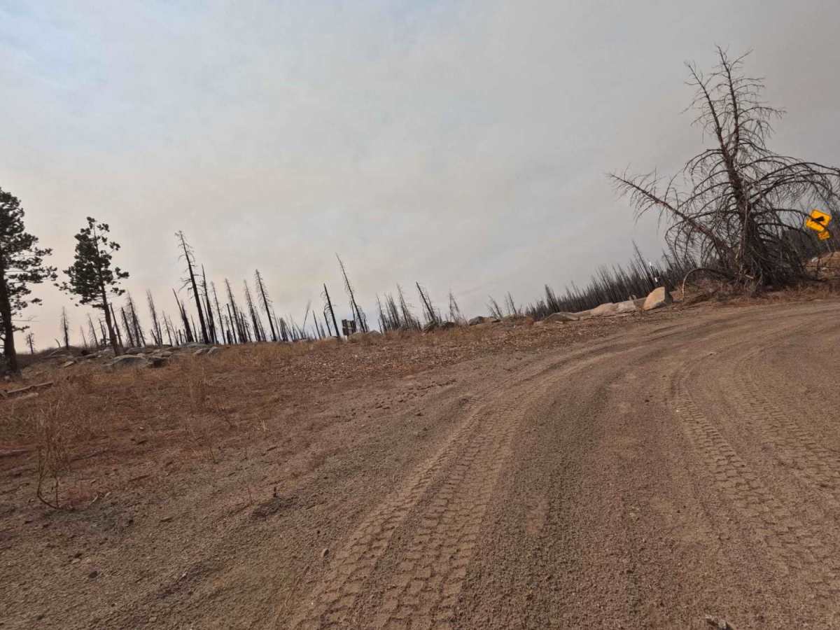 South Tam Trail - FS 25E306 photo 3
