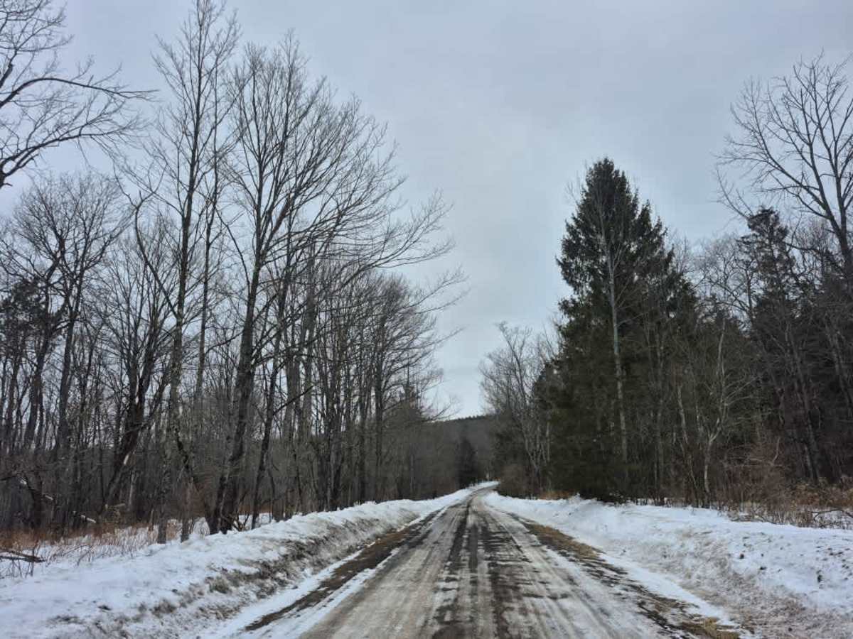 Cook Hill Road photo 4