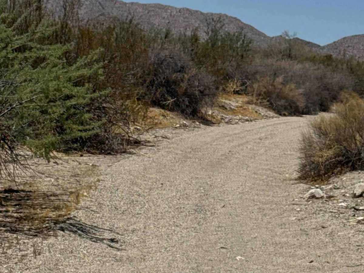 Suspension Check  trail photo
