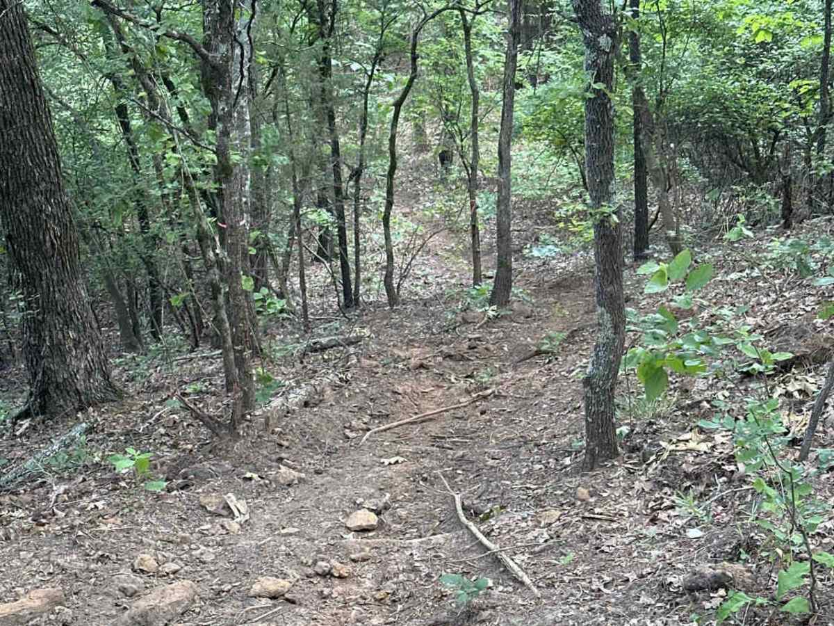 The Drop trail photo