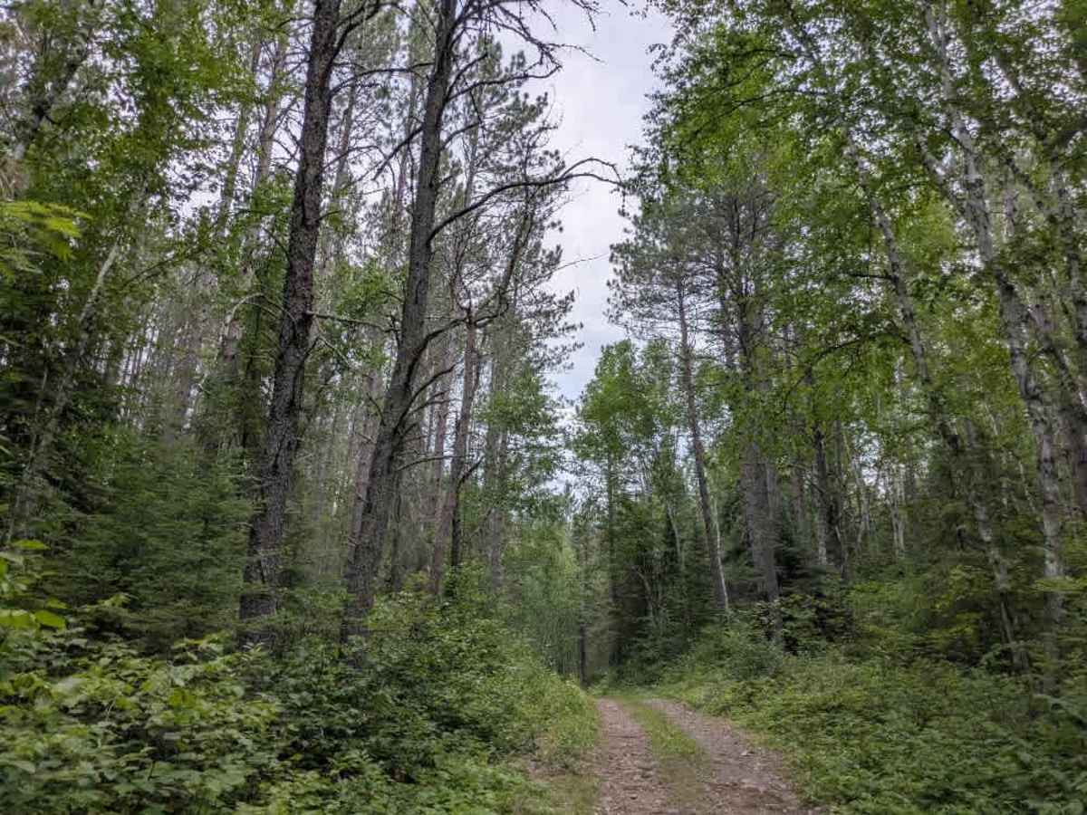 Prospectors Trail Number 8 photo 5