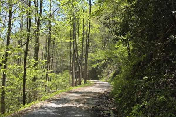 Panhandle Road
