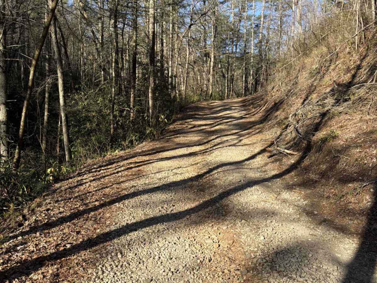 Finney Creek - FS 152 photo 3