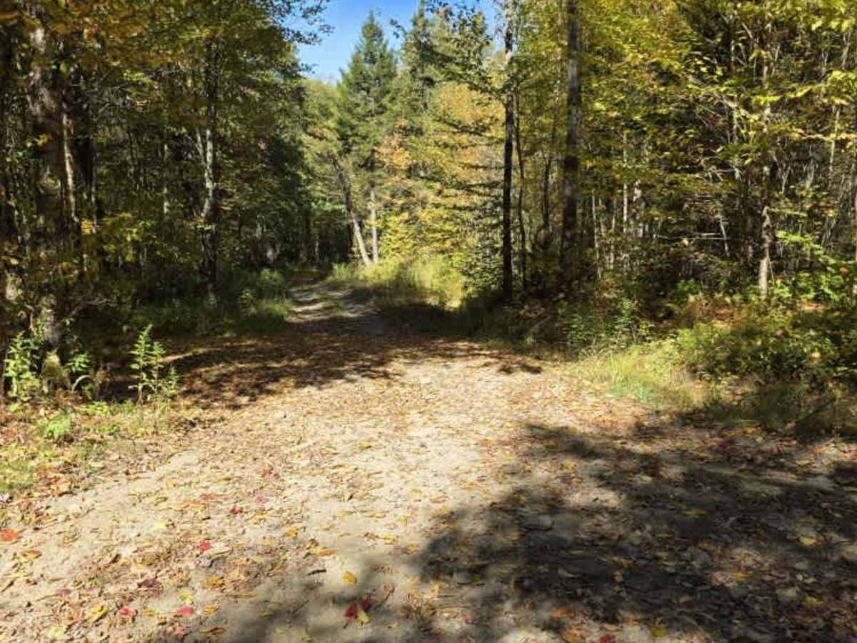 Perry Brook - Red Line Trail photo 3