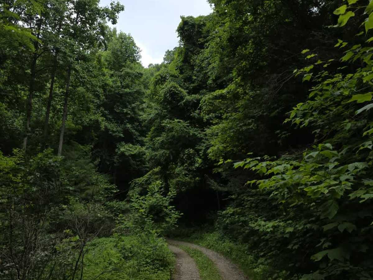 Little Paint Creek photo 5