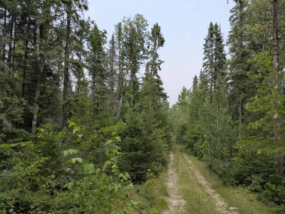 Muckawa photo 5