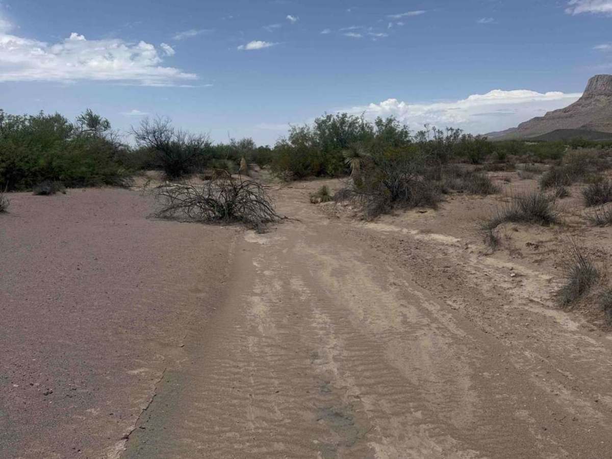 Ss1104  photo 3