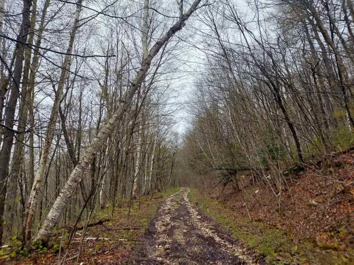 Middle Ridge Road photo 5