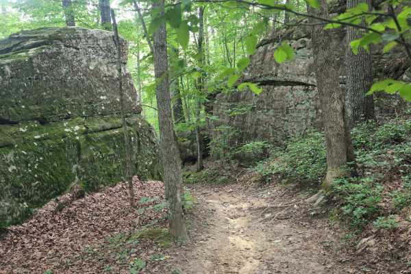 Sheltowee Trace Single Track - FS 100