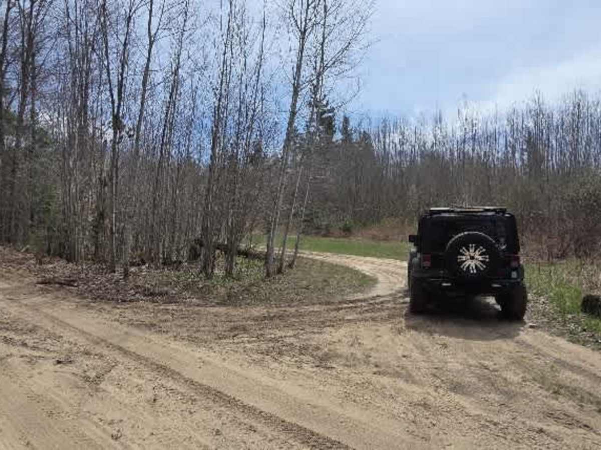 Holms Road Loop trail photo
