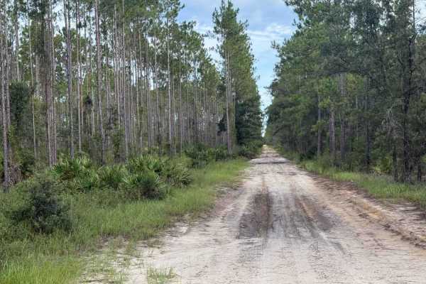 Camp Branch Road