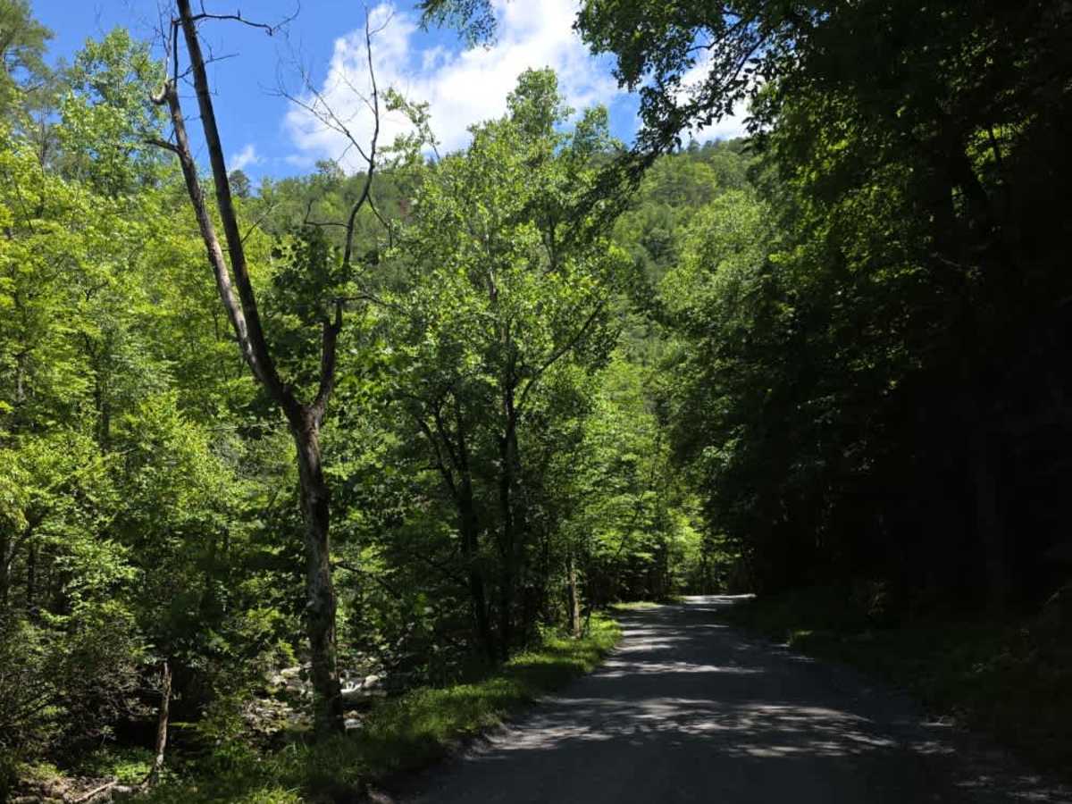 Upper Tremont Road photo 5