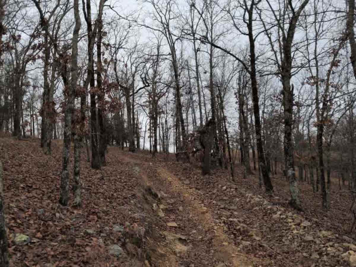 C18 Tanner's Hatchet photo 2