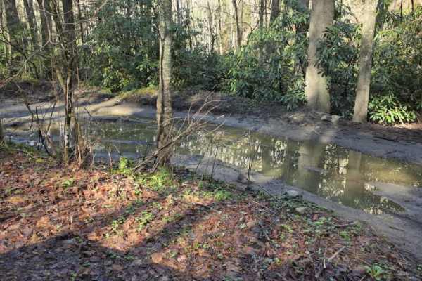 Gentry Creek