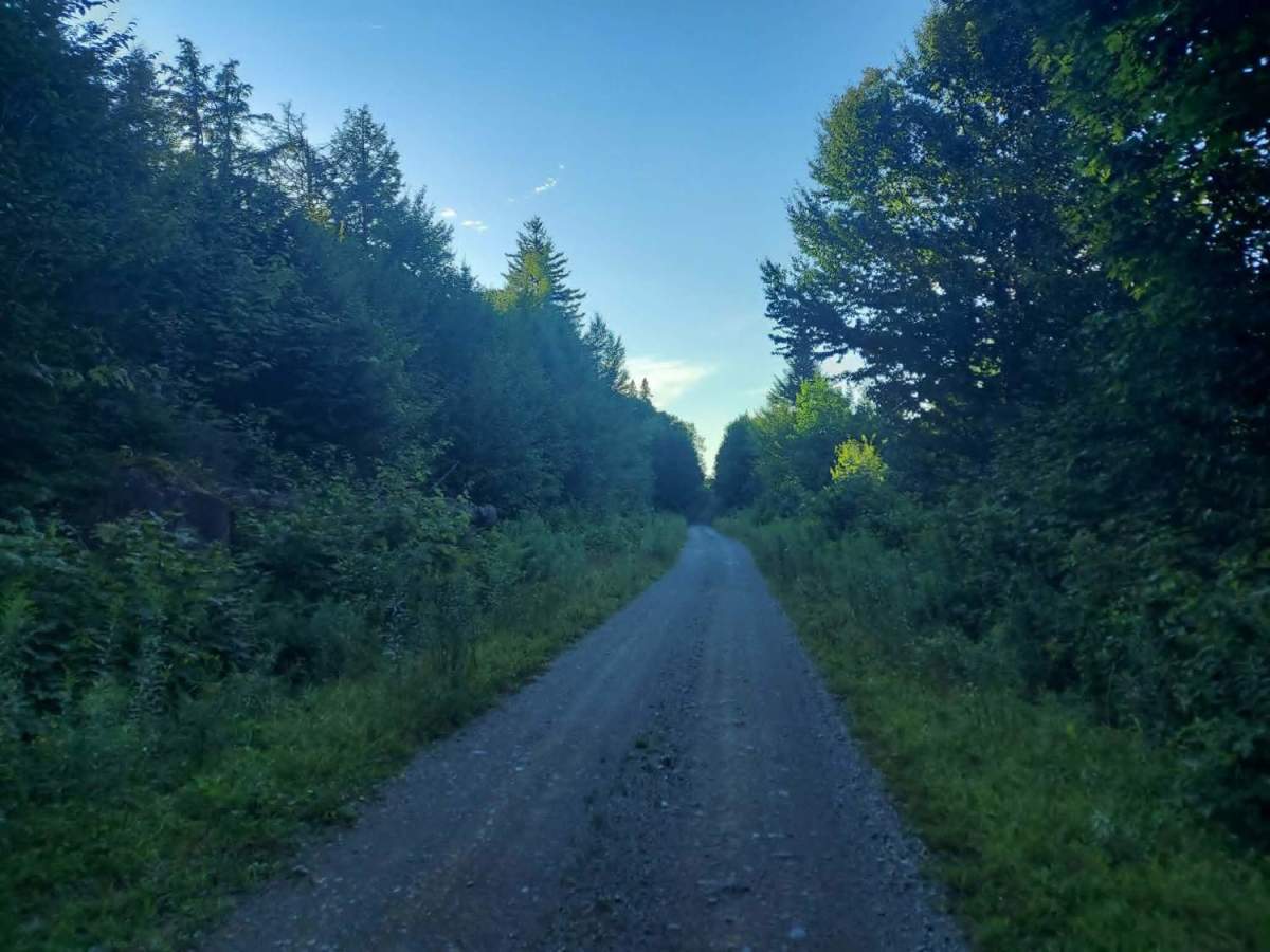 Shaw Camp Road photo 4