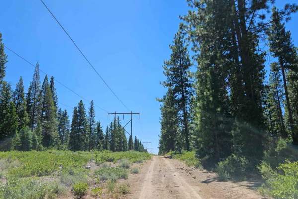 Powerline Road