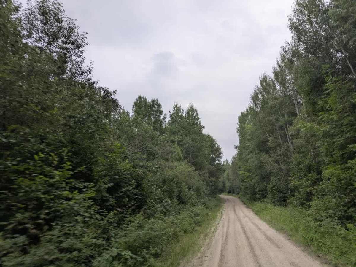 Fawn Creek Road trail photo