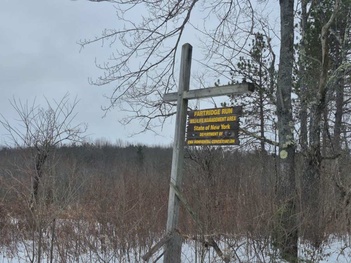 Partridge Run trail photo