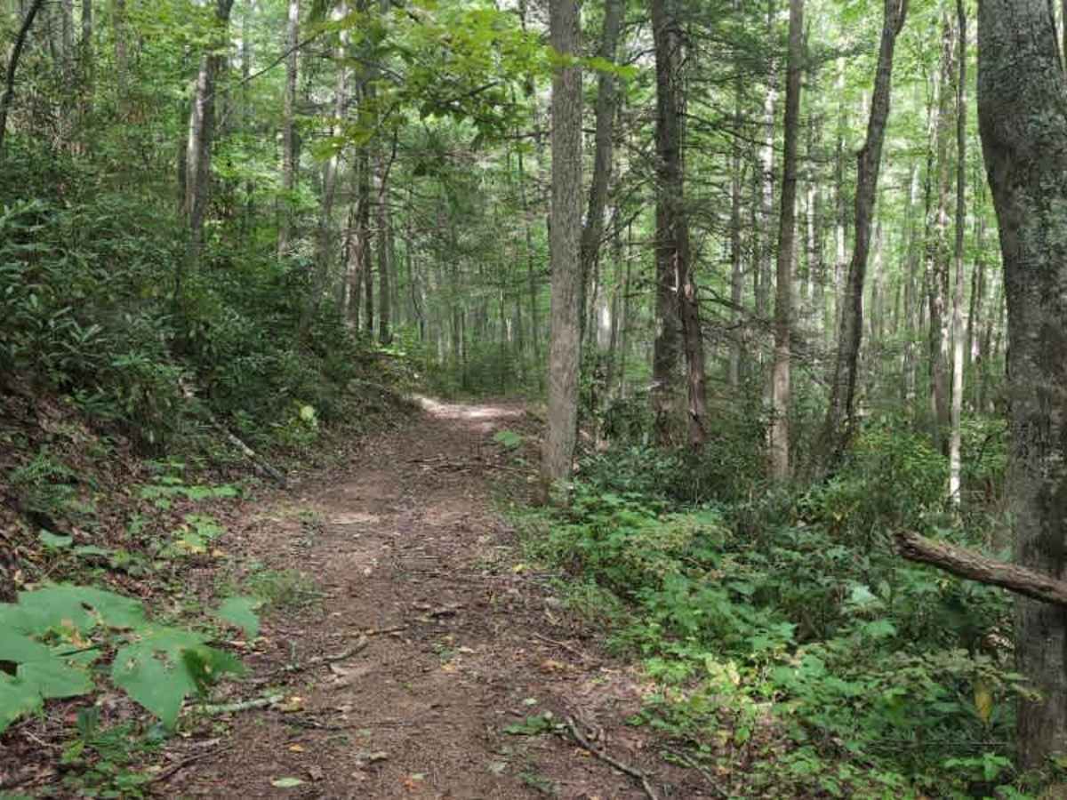 Horne Knob - FS 4530 photo 4