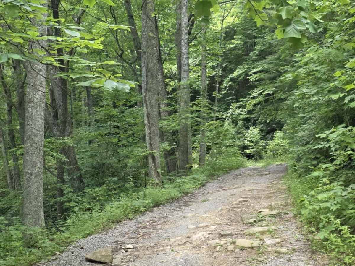 Rattlesnake Road photo 5