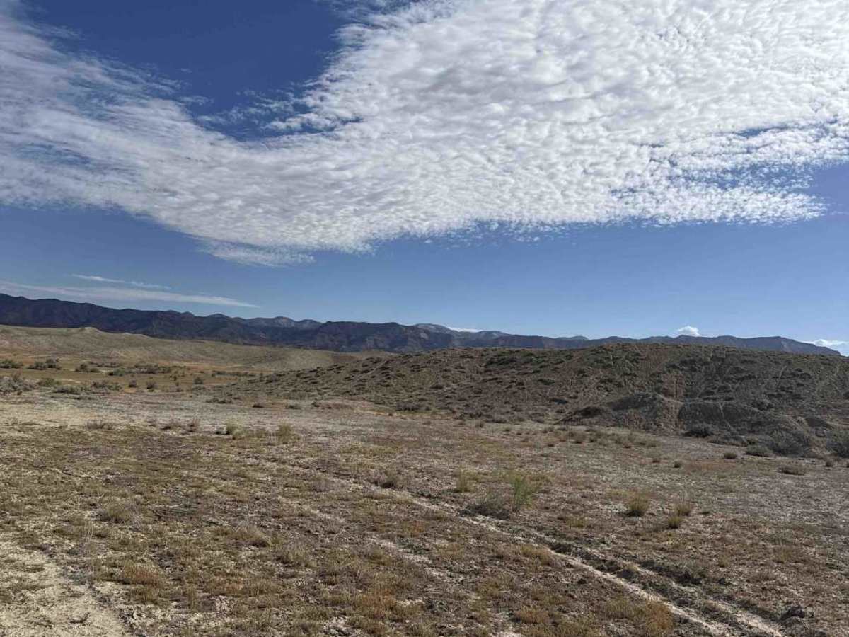 BLM 182 photo 4