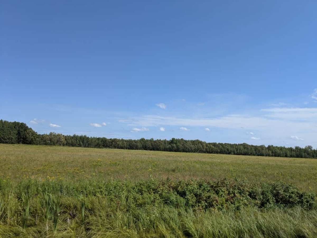 County Road 67 photo 5
