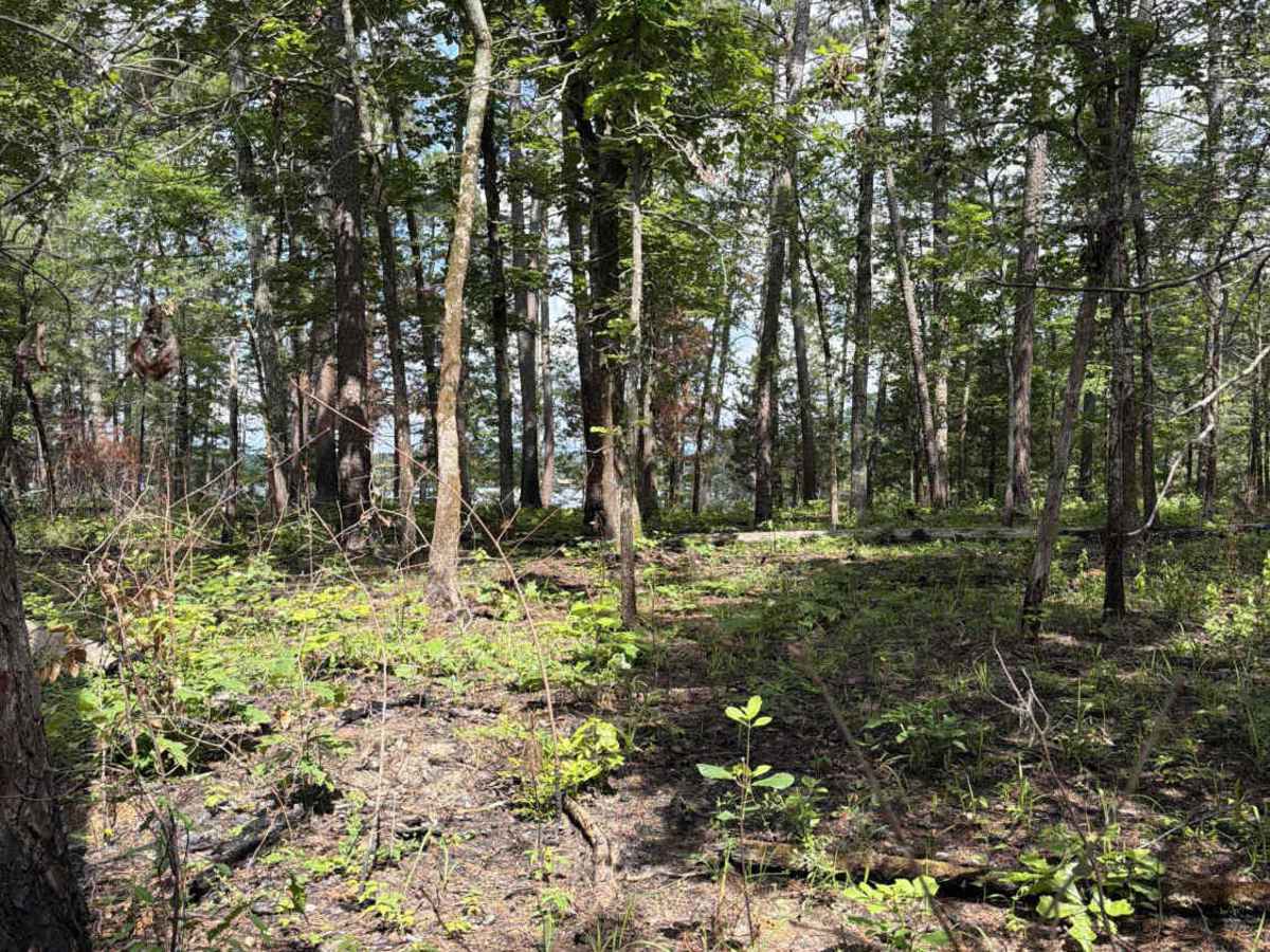 Lake Point Trail  photo 4