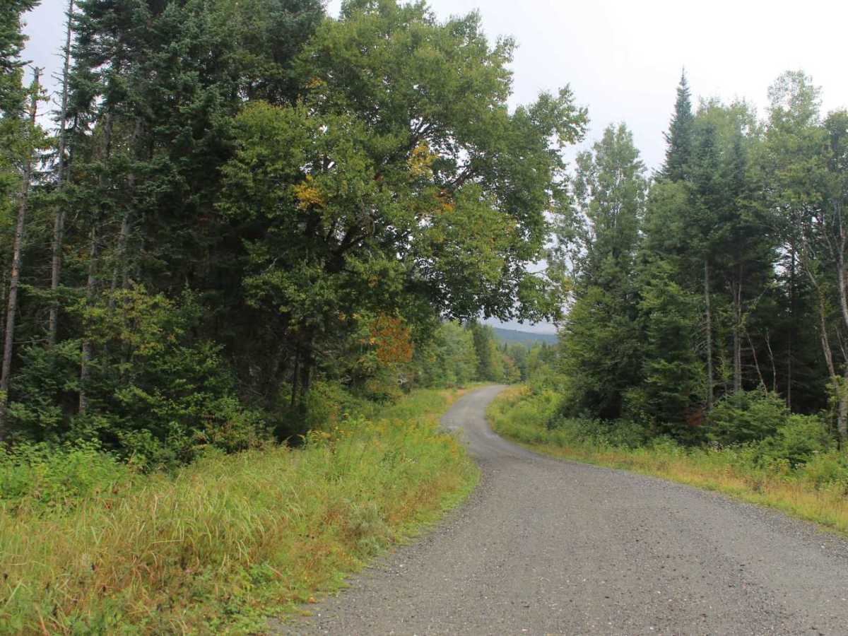 Perry Stream Road photo 3