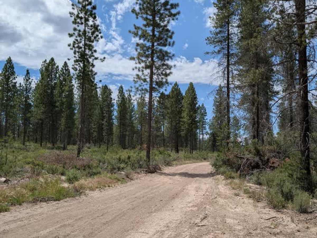 Pine Ridge photo 3