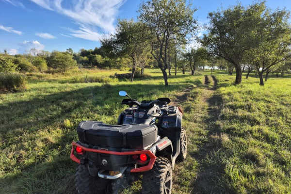 Byron Corners Orchard