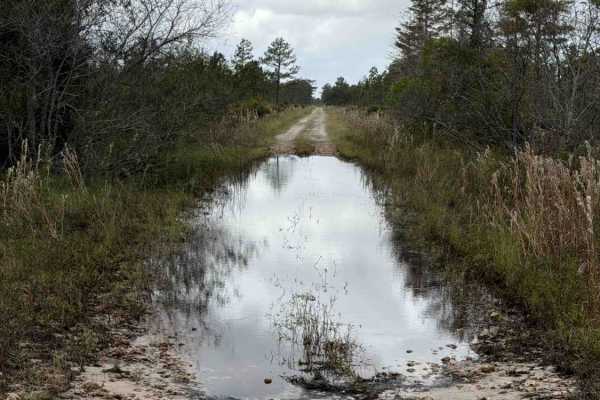 Williams Road - Three Lakes WMA