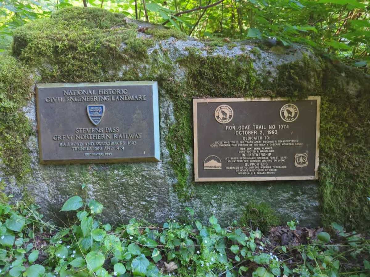 Martin Creek photo 5