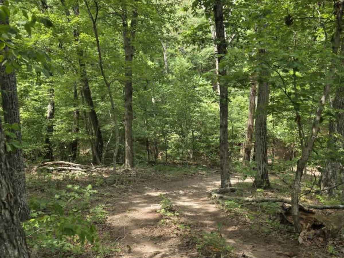 Life-Altering trail photo