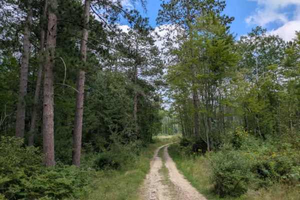 Loon Lake Road