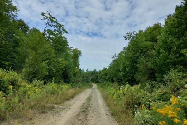Link Trail