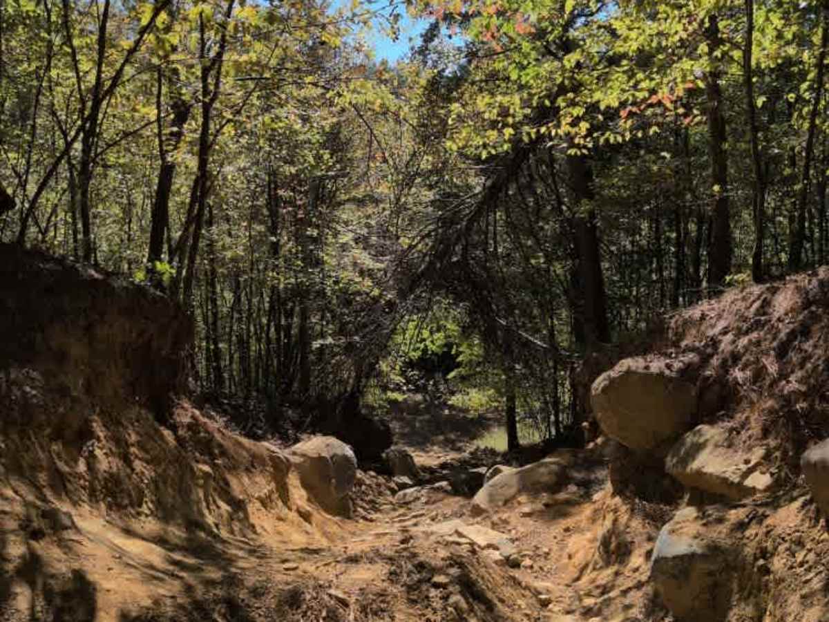 #19 Viper trail photo