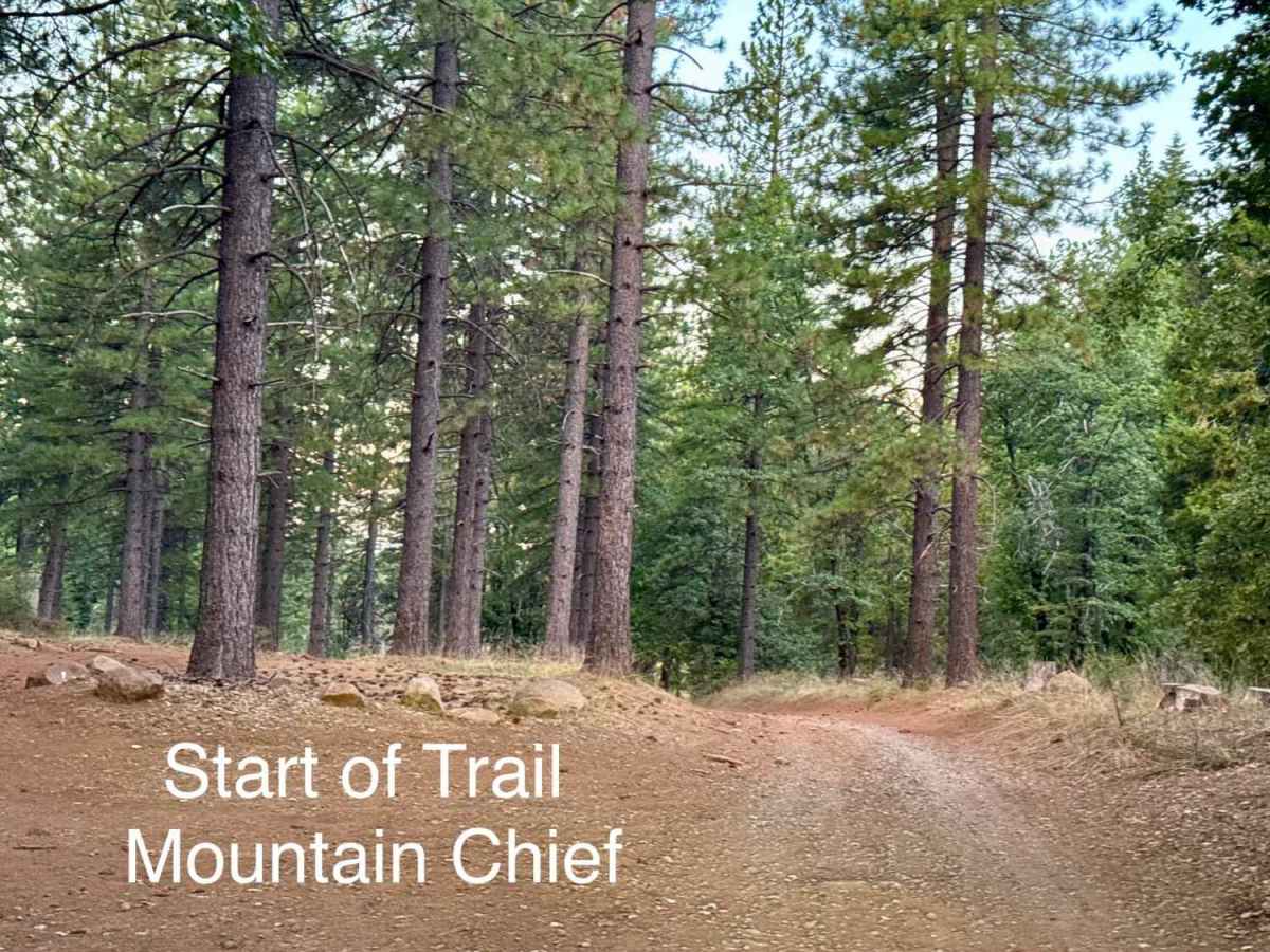 Mountain Chief - FS 10-006 trail photo