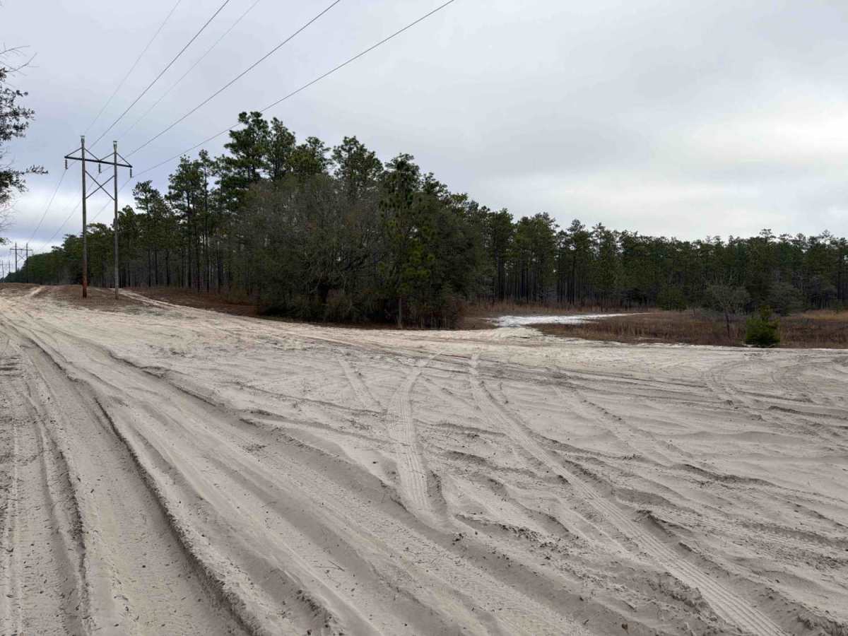 Powerline East - FS 300-C photo 4